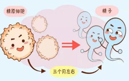 衡阳助孕公司服务要多少钱？助孕流程一并告诉你！（内附三代试管成功率）